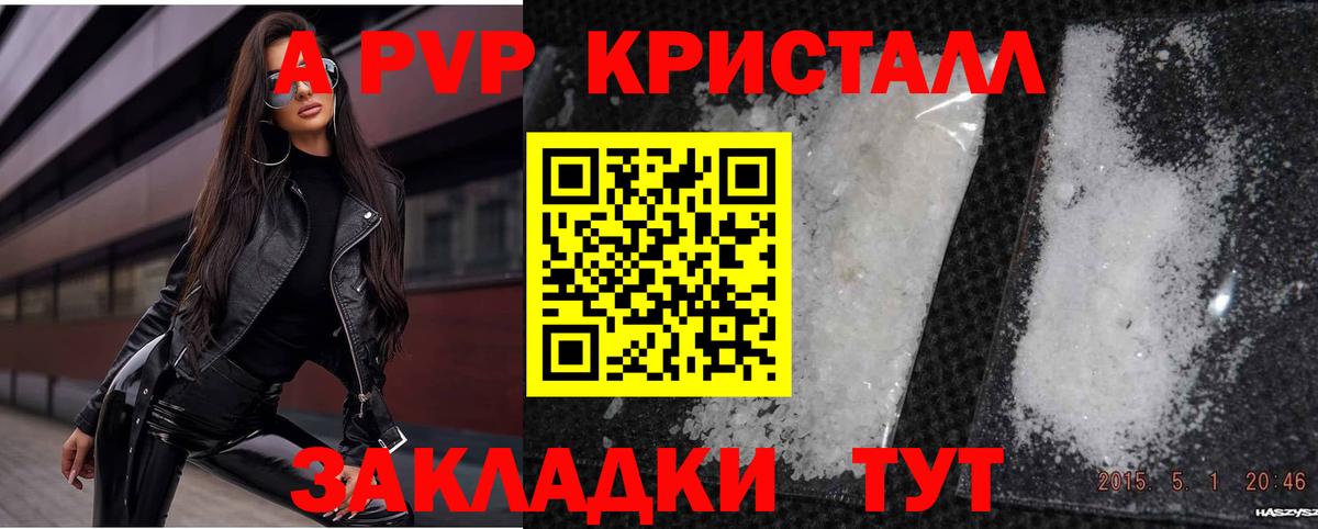 A PVP СК КРИС Сунжа