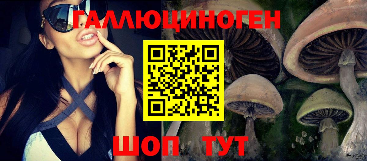 Псилоцибиновые грибы мицелий  Вход с VPN  Сунжа  продажа наркотиков  Галлюциногенные грибы мицелий 